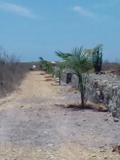 Terreno en venta Barras de Piaxtla con vista al mar — foto 9